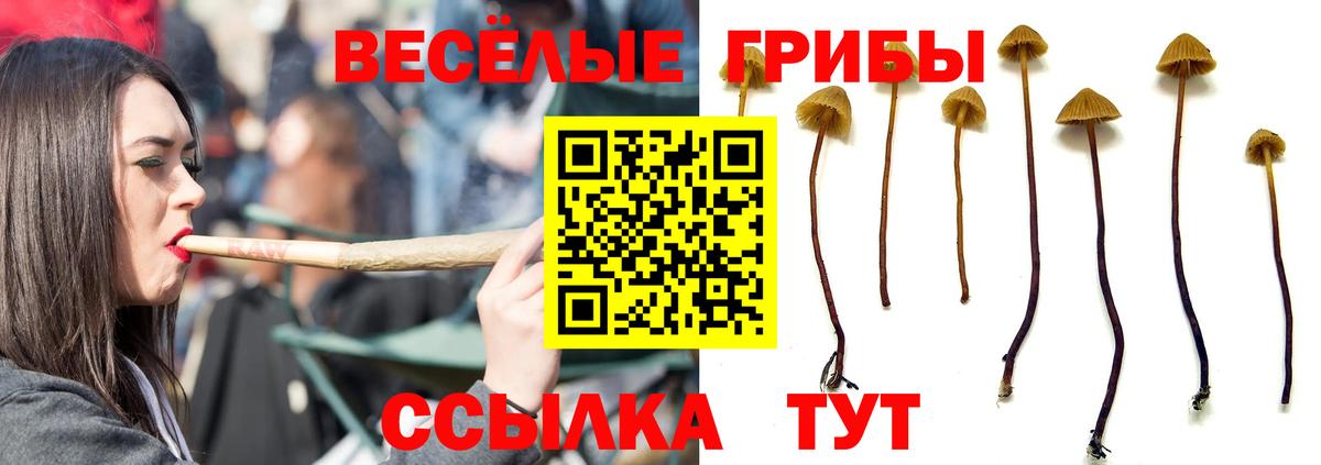 Галлюциногенные грибы мицелий Ефремов